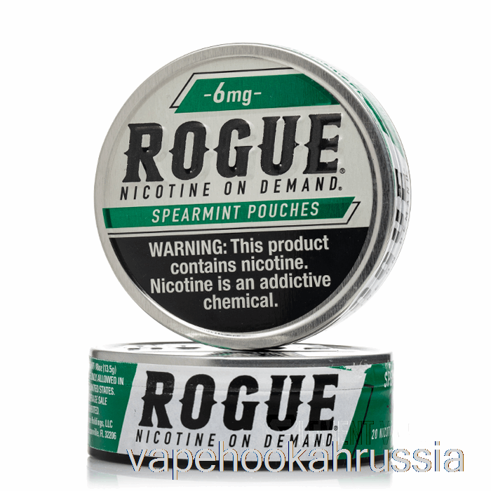 Vape Russia Rogue никотиновые пакетики - мята 6 мг (5 упаковок)